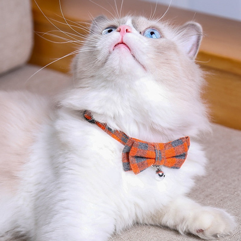 Bow-tie Bellissimo: Collar for Cats!