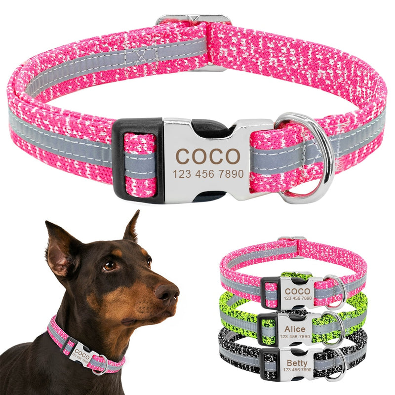 Personalized Dog and Cat Collar