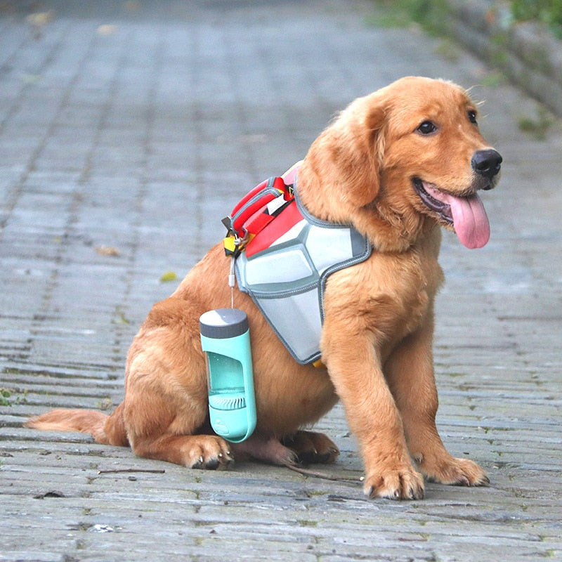 Pet Water Dispenser for Outdoor Adventures