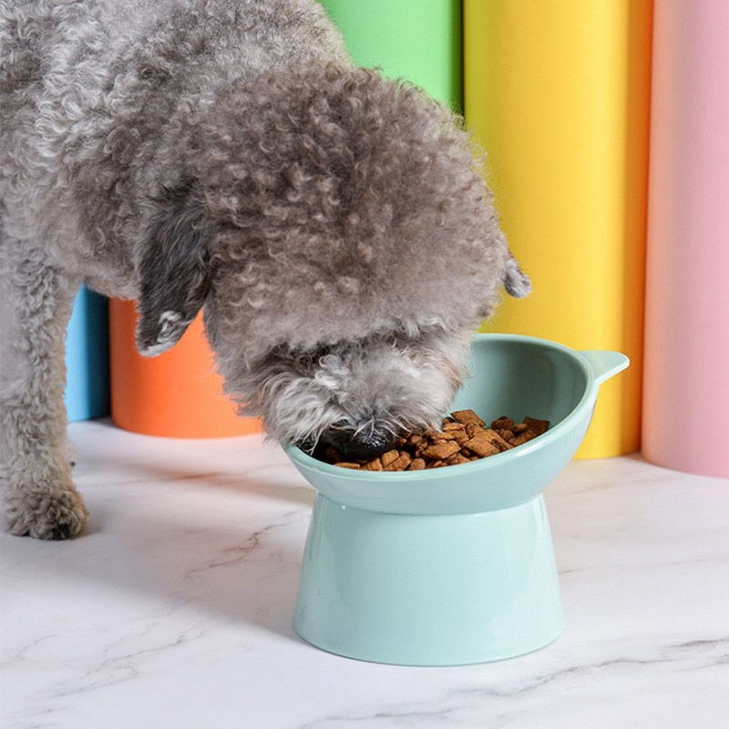 Anti-Tip Binaural Bowl for Cats and Dogs