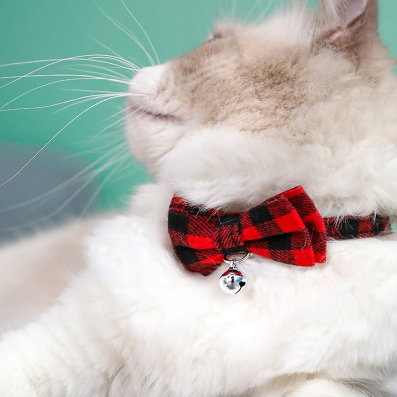 Bow-tie Bellissimo: Collar for Cats!