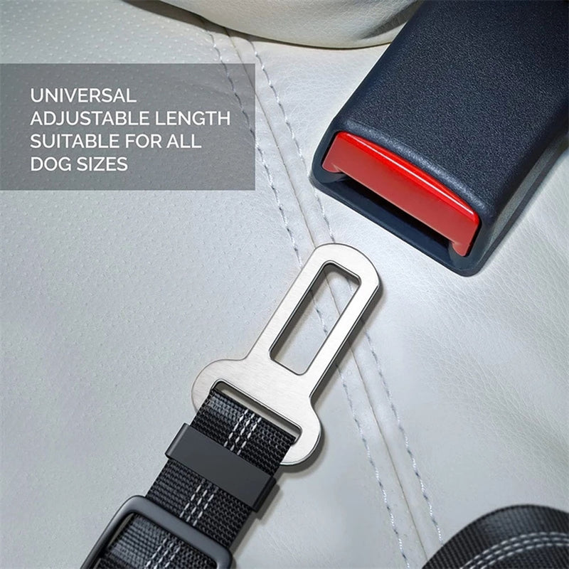 Get Our Elastic Dog Seat Belt with FREE Waterproof Seat Cover & Dog Training E-book! 🐾🚗