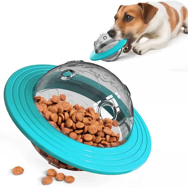 Slow Feeder Ball for Dogs: IQ Training Toy with Anti-Choke Design
