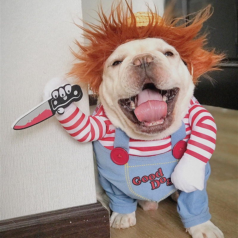 Unleash Your Dog's Inner Killer Doll with our Halloween Costume!