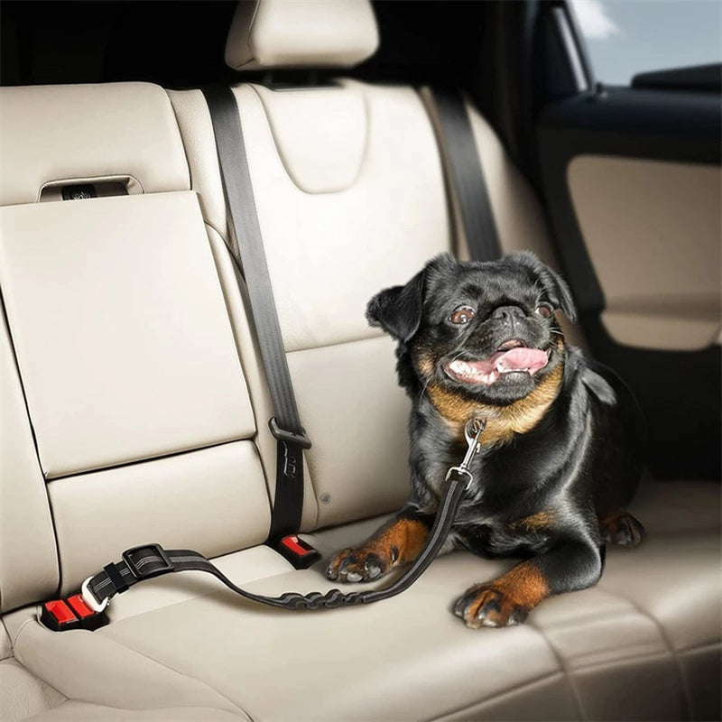 Get Our Elastic Dog Seat Belt with FREE Waterproof Seat Cover & Dog Training E-book! 🐾🚗